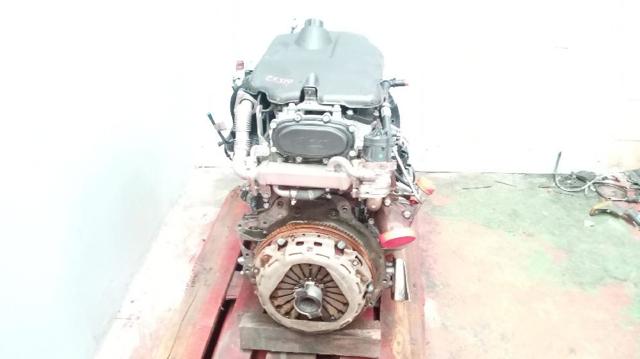 F1AFL411B Iveco