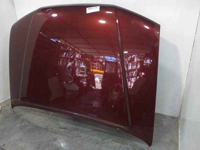 Nissan Pathfinder R51M