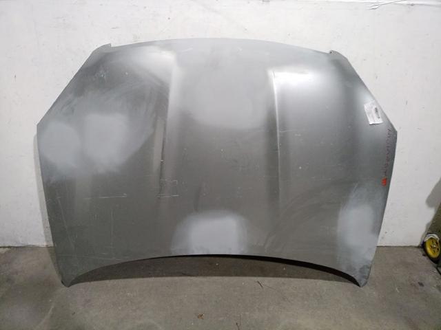 F5100JD0M0 NISSAN Capó  comprar en Jaén