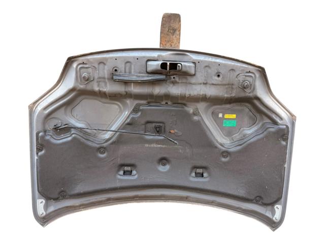 F5100JG0MM NISSAN Capó  disponible Ourense