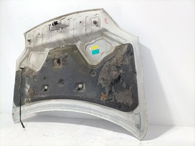 F5100JG0MM NISSAN Capó  en stock Gandía