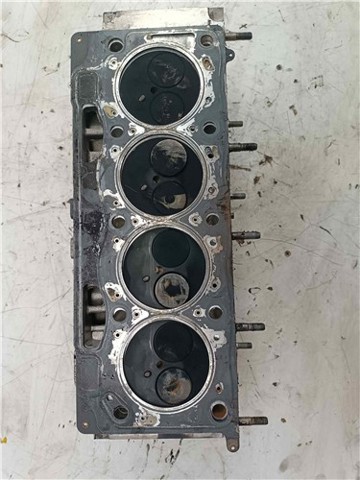 RENAULT F9Q818 Motor completo  comprar en Albacete
