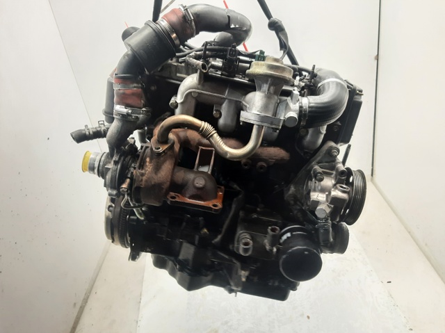 Comprar Motor Focus I DNW