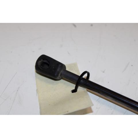 FORD G1B5A406A10AB Amortiguador maletero comprar Pamplona