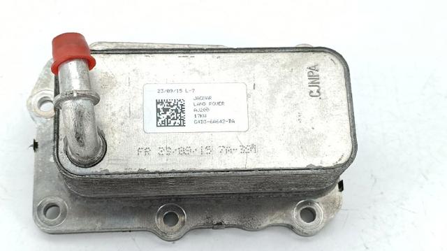 G4D36A642BA Land Rover