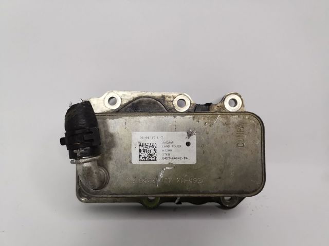 G4D36A642BA Jaguar