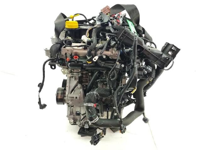 H4DF480 Renault (RVI)