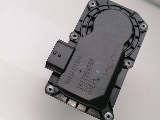 H8201171233 Cuerpo de mariposa comprar Almería