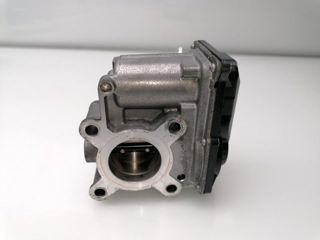 H8201171233 RENAULT Cuerpo de aceleración completo  comprar en Jaén