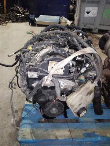 HHDA Ford