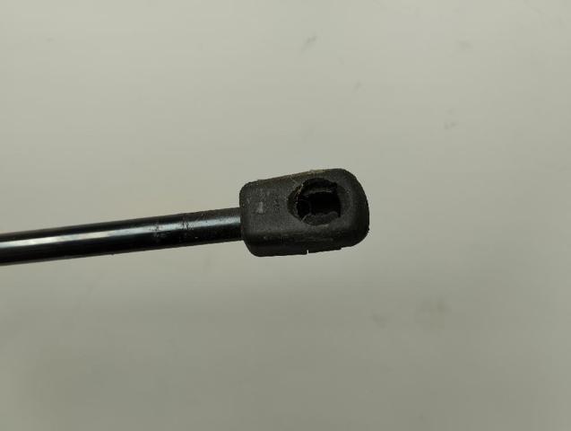 Muelle neumatico maletero para Ford Focus IV (HN)
