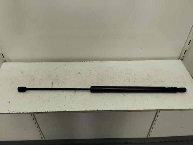 Muelle neumatico maletero para Ford Focus IV (HN)