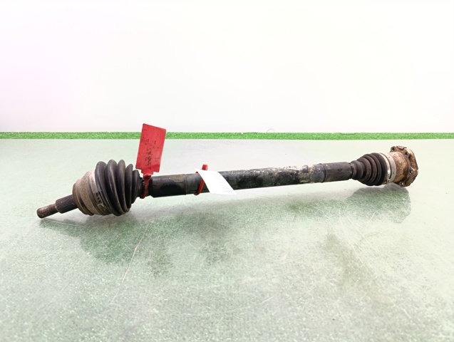 JZW407450MX VAG