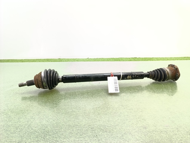 JZW407450MX VAG