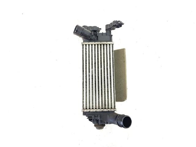 Radiador de aire, intercooler Ford Puma  (J2K, CF7)