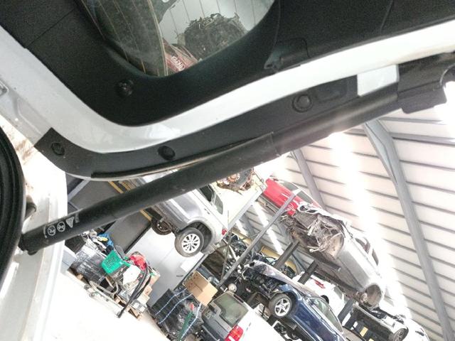 Amortiguadores de maletero Ford Puma (J2K, CF7)
