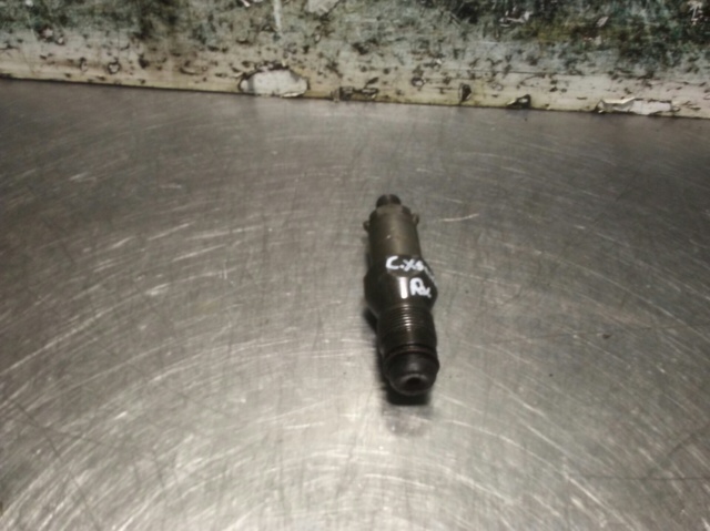 LCR6736001 Inyector  en stock Castellón