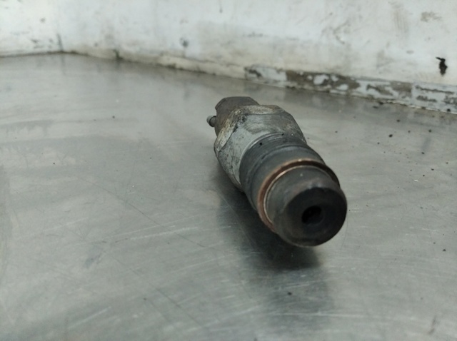 LCR6736001 Inyector de combustible  disponible Burgos