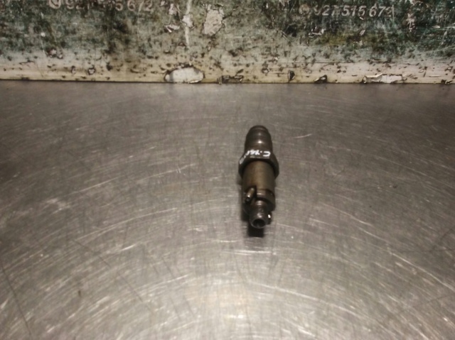 LCR6736001 PEUGEOT Inyector  en stock Huelva