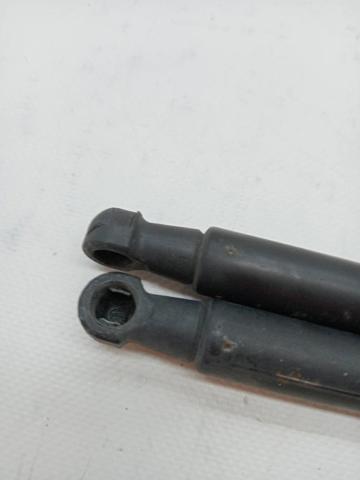 LR009106 LAND ROVER Amortiguador de capó  en stock Gandía