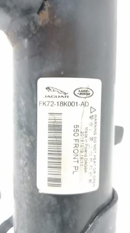 LR116119 Amortiguador delantero izquierdo  comprar en Zaragoza