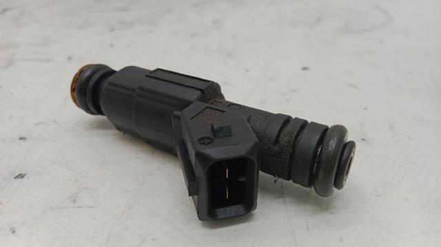 Inyectores MJY100640 ROVER