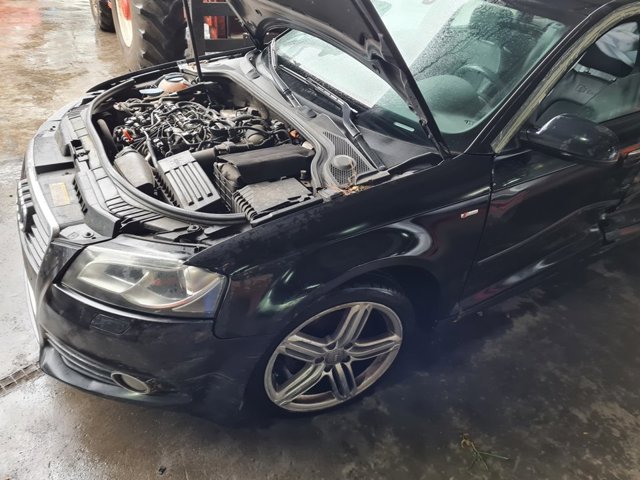 MSV VAG