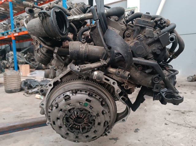 N22B1 Honda