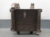 Intercooler KIA Carnival 1