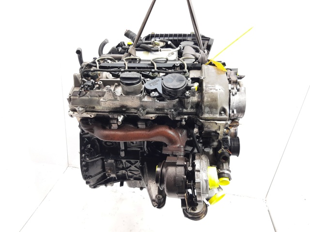 OM611962 Mercedes