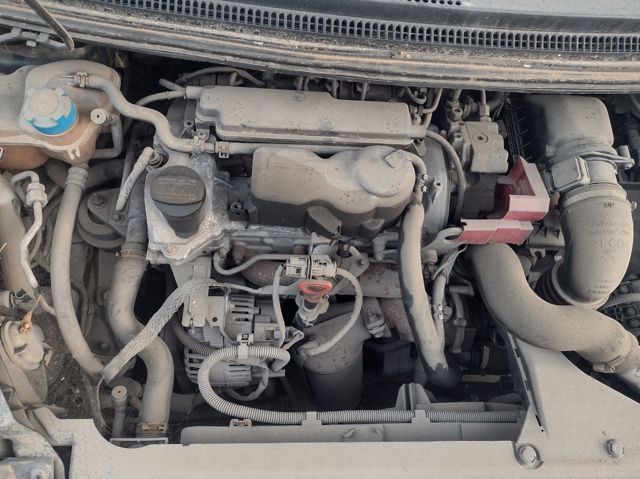 OM639939 Mitsubishi