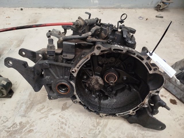 P51767 Hyundai/Kia