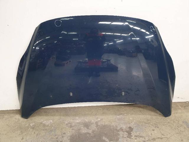 Capó delantero PAM51U16610AC FORD