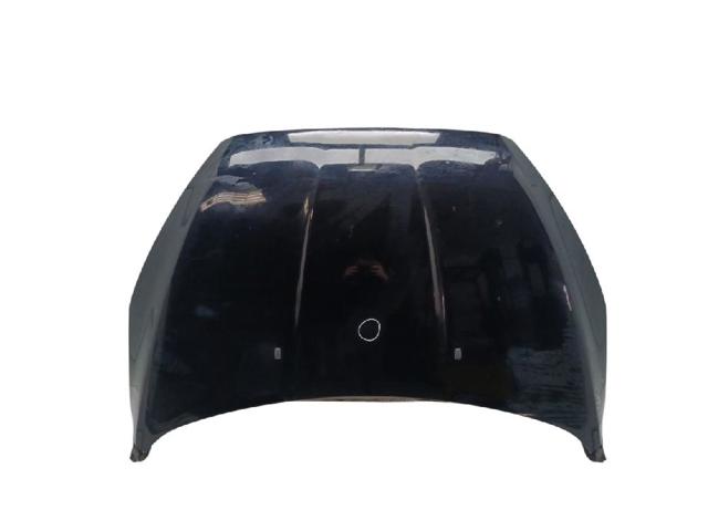 Capot PF1EBA16610AA FORD