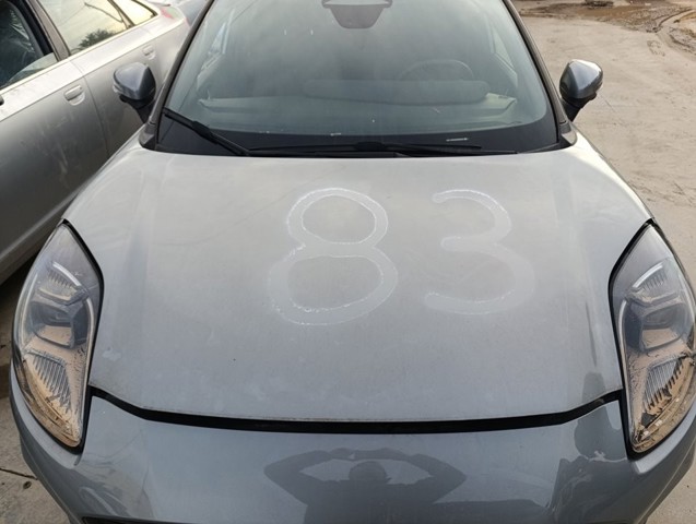 Capó del motor Ford Puma  desde 656,30 €