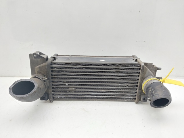 Radiador de aire de admisión Land Rover Freelander I desde 76,96 €