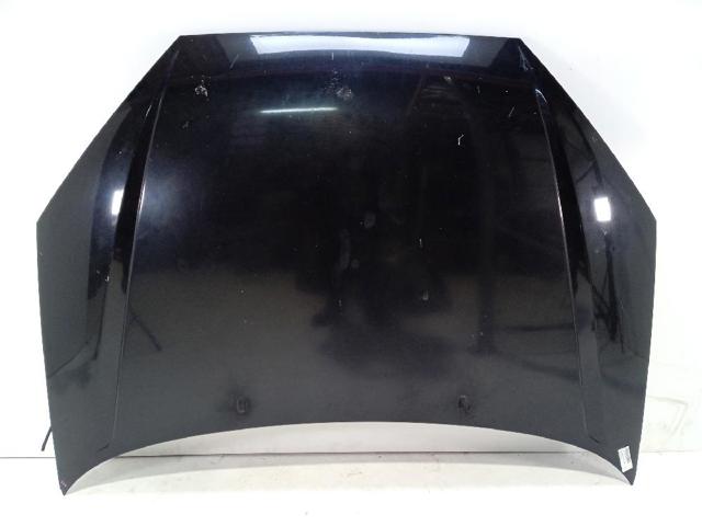 Capot PXS41A16610CA FORD