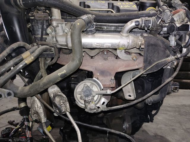 RHRDW10BTED4 PEUGEOT Motor completo  disponible Ourense