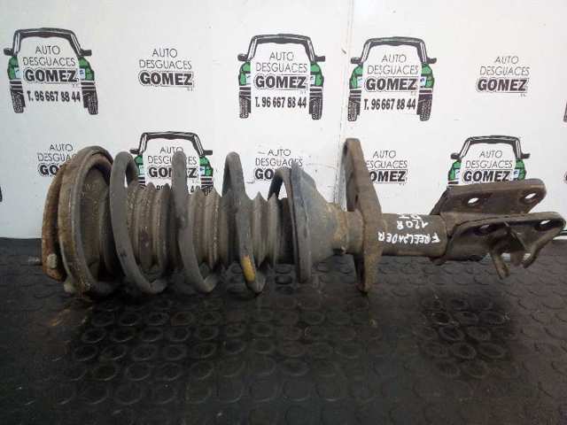 Amortiguador eje delantero izquierda RNB103570 LAND ROVER
