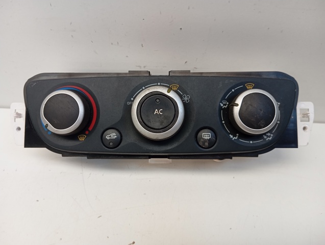 T1001786G Renault (RVI)