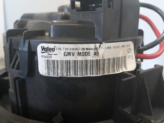 T1013140A PEUGEOT  disponible Vigo