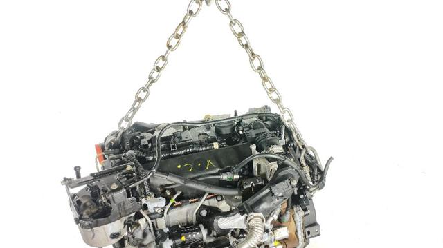 T1DA Ford