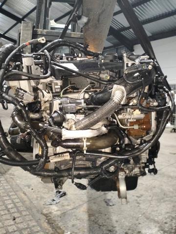Motor para Ford Focus III (CB8)