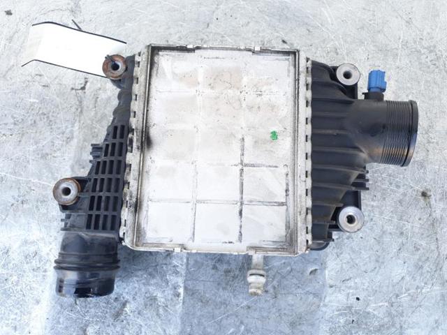 T2H2530 Jaguar