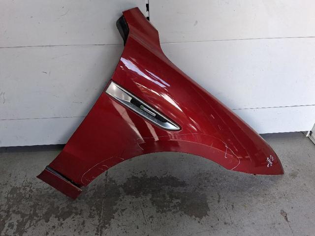 T4A15238 Jaguar
