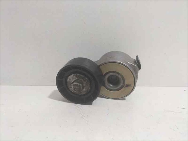 Tensor de la correa trapecial poli v TF077H PEUGEOT