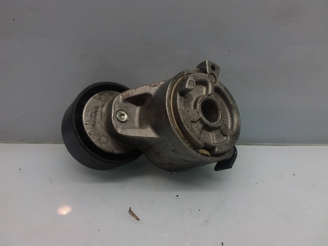 Tensor de la correa trapecial TF077H PEUGEOT