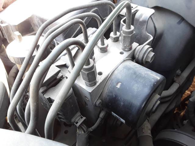 XR816397 Jaguar