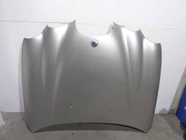 XR826795 Jaguar