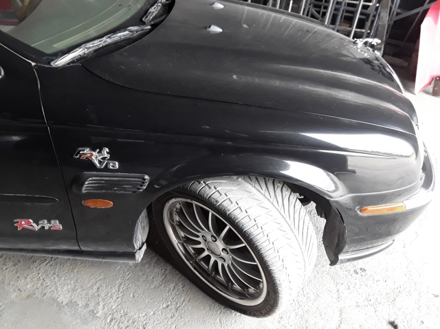XR826896 Jaguar
